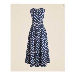 J.Crew Hyacinth polka dot dress